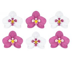 Papierové dekorácie Kvety Orchidey