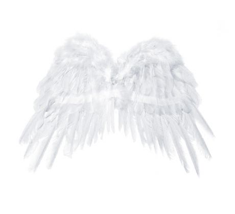 Anjelské krídla 50x35 cm