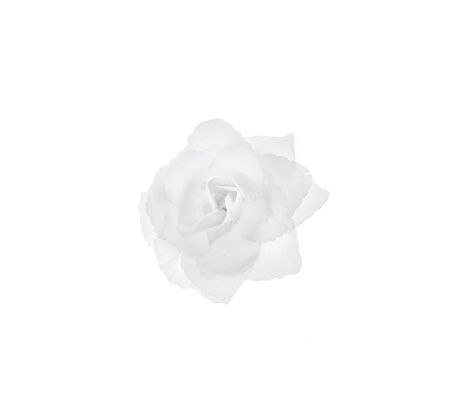 Samolepiace ruže, biele, 9 cm (1 bal / 24 ks)